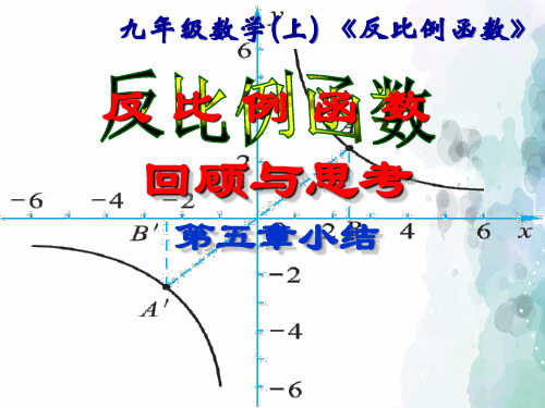 北师大版-数学-九年级上册- 反比例函数 复习课件