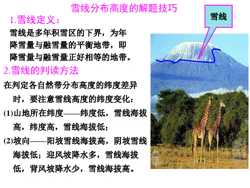 高中地理雪线分布高度的解题技巧