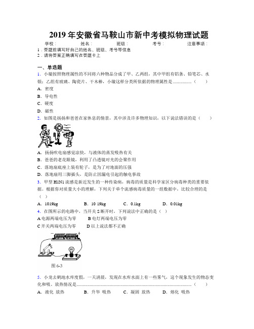 最新2019年安徽省马鞍山市新中考模拟物理试题及解析