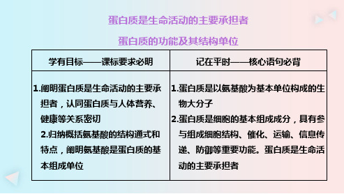 高中生物必修1知识点课件：蛋白质是生命活动的主要承担者