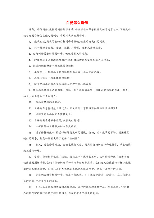 阿城区XX小学五年级语文下册 3《白杨》白杨怎么造句 新人教版五年级语文下册3白杨白杨怎么造句新人