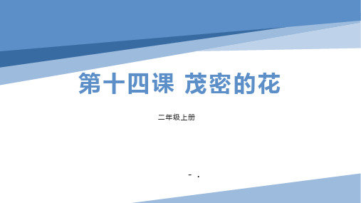 《茂密的花》PPT