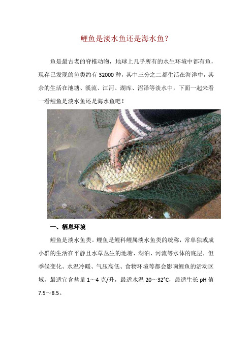 鲤鱼是淡水鱼还是海水鱼？