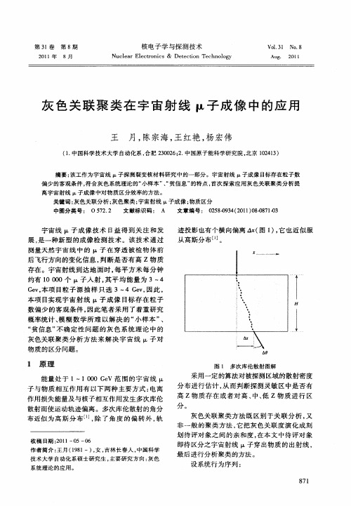 灰色关联聚类在宇宙射线μ子成像中的应用