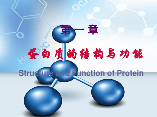 蛋白质的结构与功能ppt课件(完整版)全文