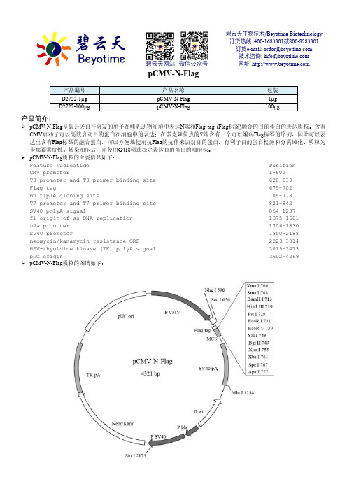 碧云天生物技术pCMV-N-Flag产品说明书