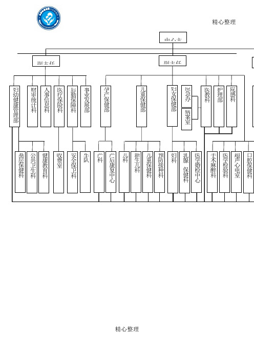 妇幼保健院组织架构图模板格式四大部