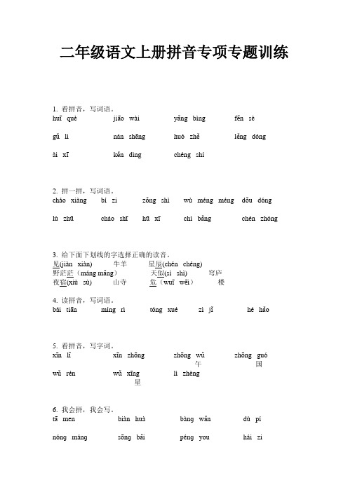 二年级语文上册拼音专项专题训练