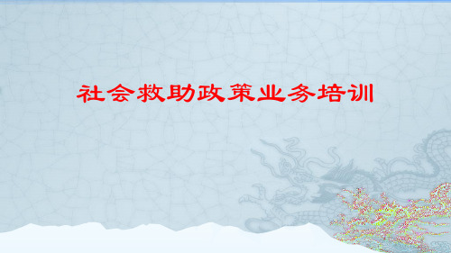 社会救助(低保、医疗、临时)业务培训ppt课件