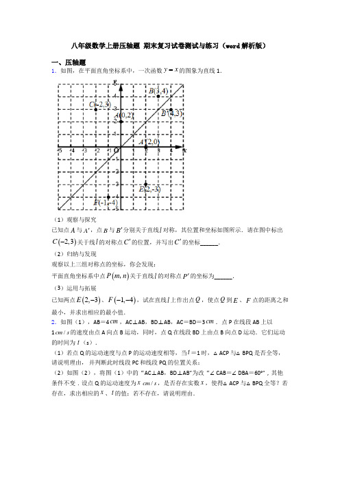 八年级数学上册压轴题 期末复习试卷测试与练习(word解析版)