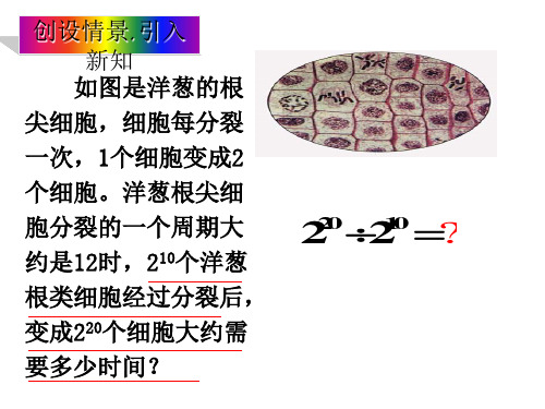 新版浙教版七年级下同底数幂的除法