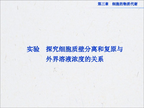 实验 探究细胞质壁分离和复原与外界溶液浓度的关系