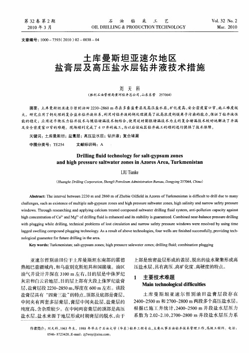 土库曼斯坦亚速尔地区盐膏层及高压盐水层钻井液技术措施