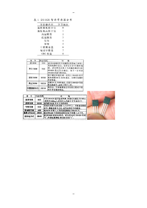 DS-B 数字温度传感器