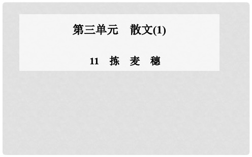 高中语文 3.11 拣麦穗课件 粤教版必修1