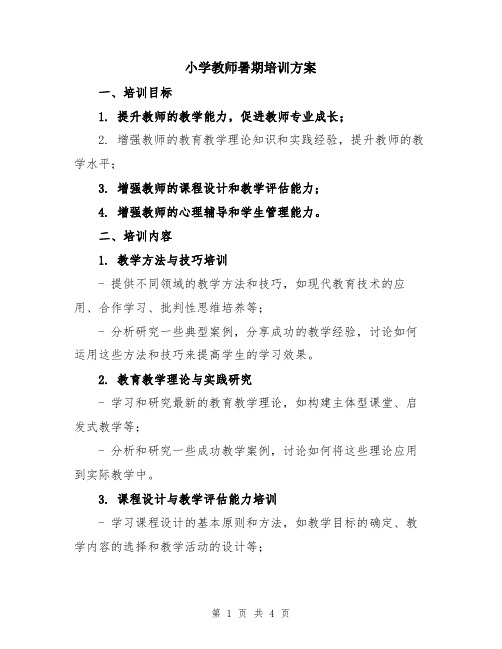 小学教师暑期培训方案