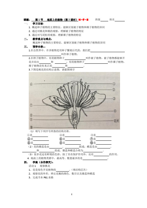 苏科版生物七年级下册 5.11.1 地面上的植物 导学案(无答案)