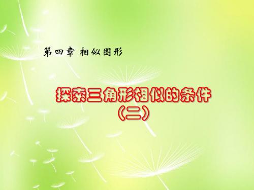 【最新北师大版精选】北师大初中数学九上《4.4 探索三角形相似的条件》PPT课件 (27).ppt