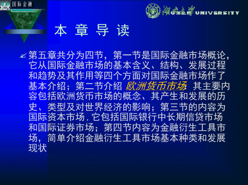 湖南大学国际金融学