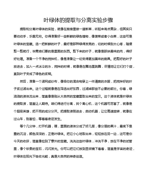 叶绿体的提取与分离实验步骤