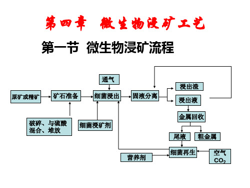 生物选矿