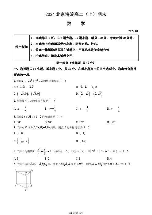 2024北京海淀高二(上)期末数学(教师版)