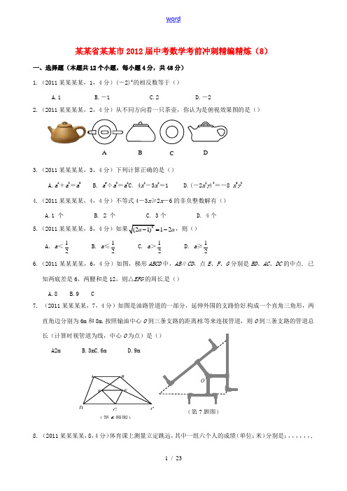 广东省湛江市2012届中考数学考前冲刺精编精炼(8)