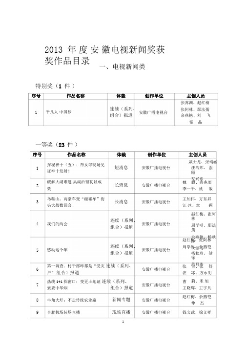 2013年度安徽电视新闻奖获奖作品目录041019143254