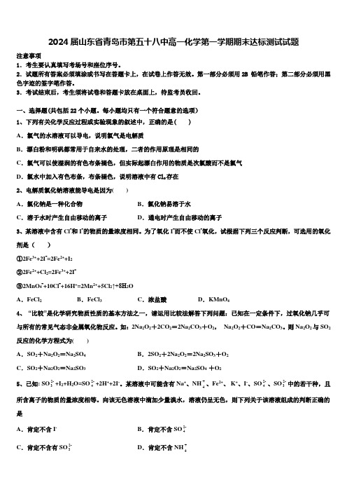 2024届山东省青岛市第五十八中高一化学第一学期期末达标测试试题含解析