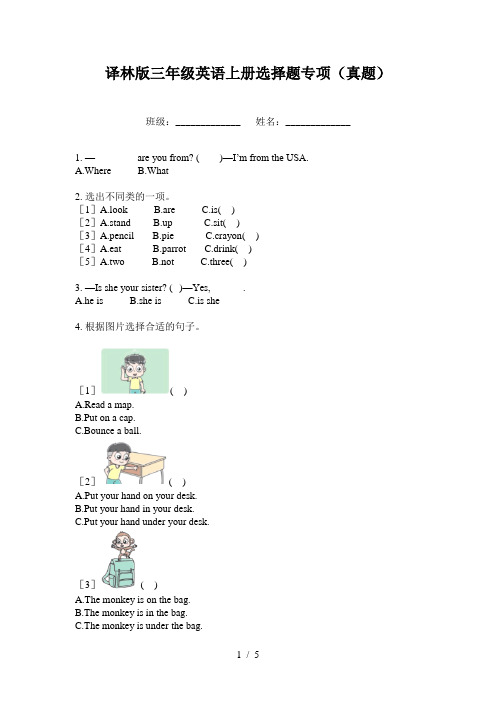 译林版三年级英语上册选择题专项(真题)