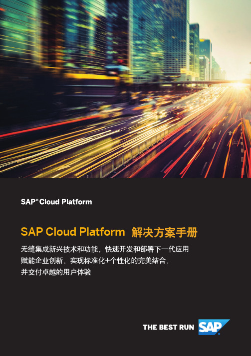 SAP Cloud Platform 解决方案手册