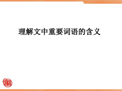 理解文中重要词语的含义