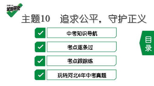 河北2020中考政治复习 -主题10 追求公平,守护正义