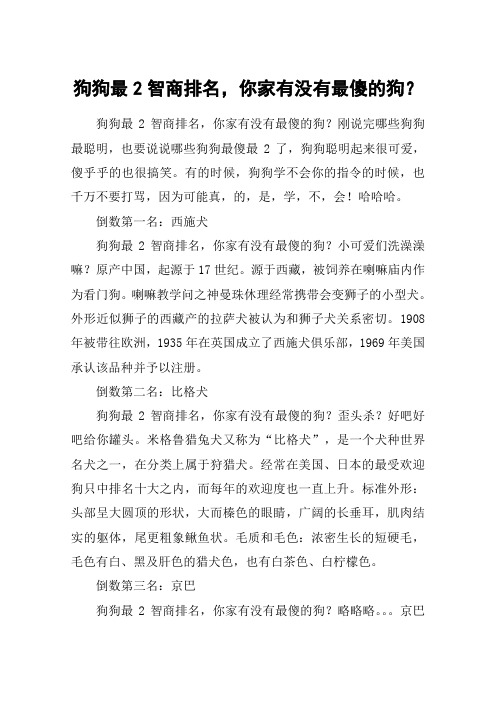 狗狗最2智商排名,你家有没有最傻的狗？