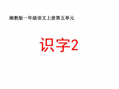 一年级语文上册识字2课件