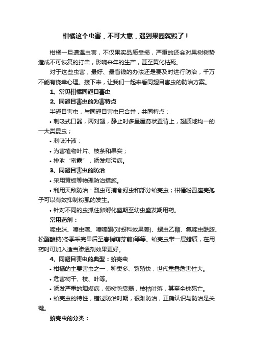 柑橘这个虫害，不可大意，遇到果园就毁了！