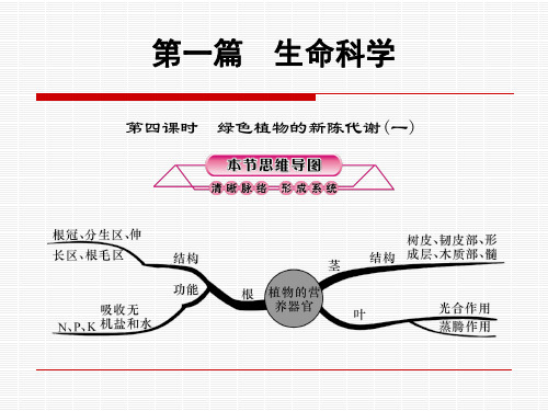 生命科学——第4课时：绿色植物的新陈代谢(一)