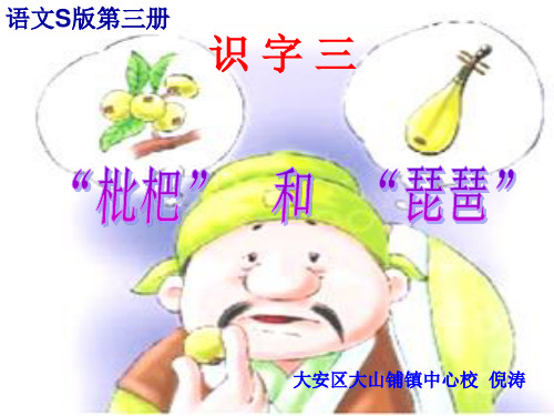枇杷和琵琶PPT课件