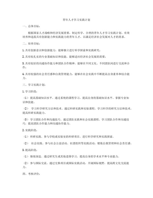 青年人才学习实践计划