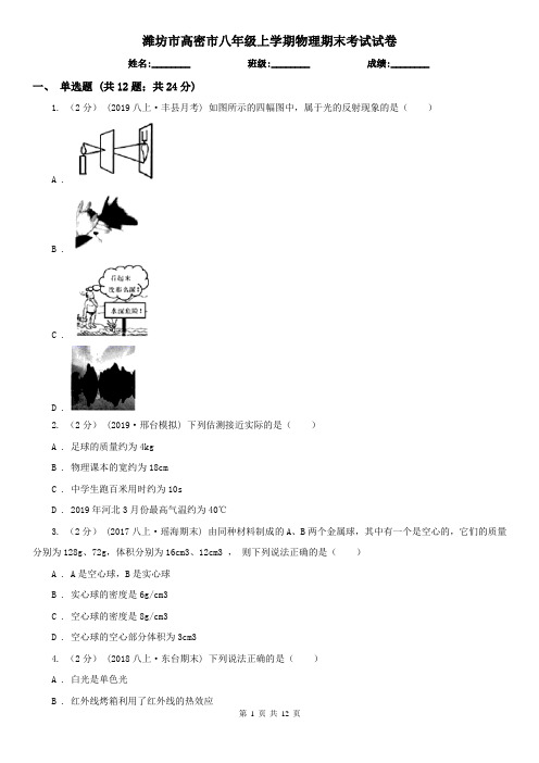 潍坊市高密市八年级上学期物理期末考试试卷