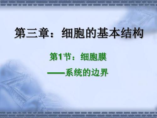 细胞的基本结构ppt24 1