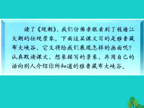 (精选)四年级语文上册 第1单元 2.雅鲁藏布大峡谷课件1 新人教版