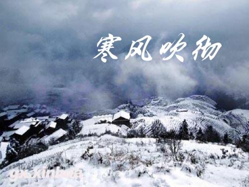 寒风吹彻ppt实用课件9