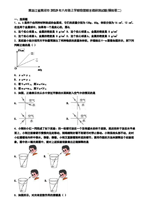 黑龙江省黑河市2019年八年级上学期物理期末调研测试题(模拟卷二)