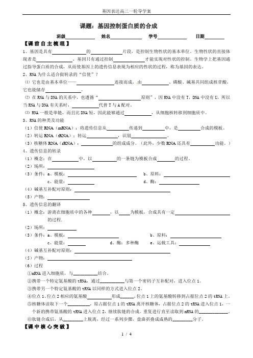 基因表达高三一轮导学案