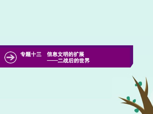 2020版高考历史二轮复习专题十三信息文明的扩展——二战后的世界课件