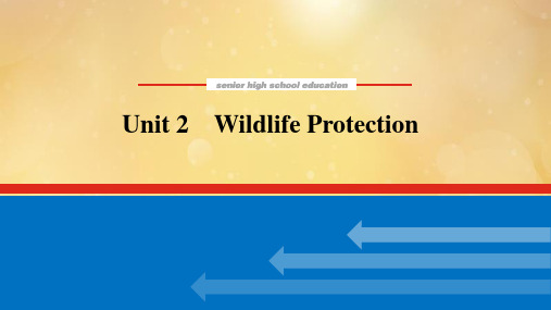 高中英语高考必修二 Unit 2 Wildlife Protection 课件