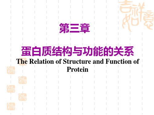 第三章课用蛋白质结构与功能的关系