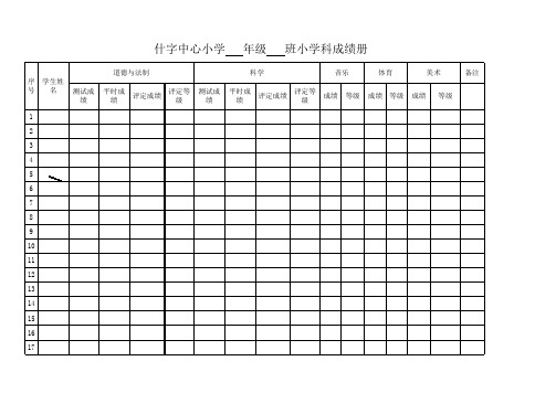 什字中小综合成绩册