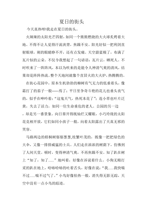 《夏日的街头 》优秀作文